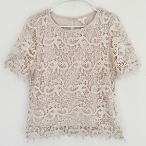 Anthropologie | Adiva Lace Short Sleeve Blouse
